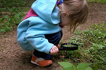 Как создать экологическую тропинку в детском саду: шаг за шагом