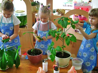 Как организовать уголок природы в детском саду?