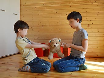 Вас двое, а мишка один, что мы будем делать?