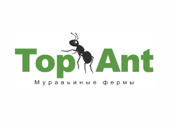 42.Top-Ant.jpg 42.Top-Ant.jpg